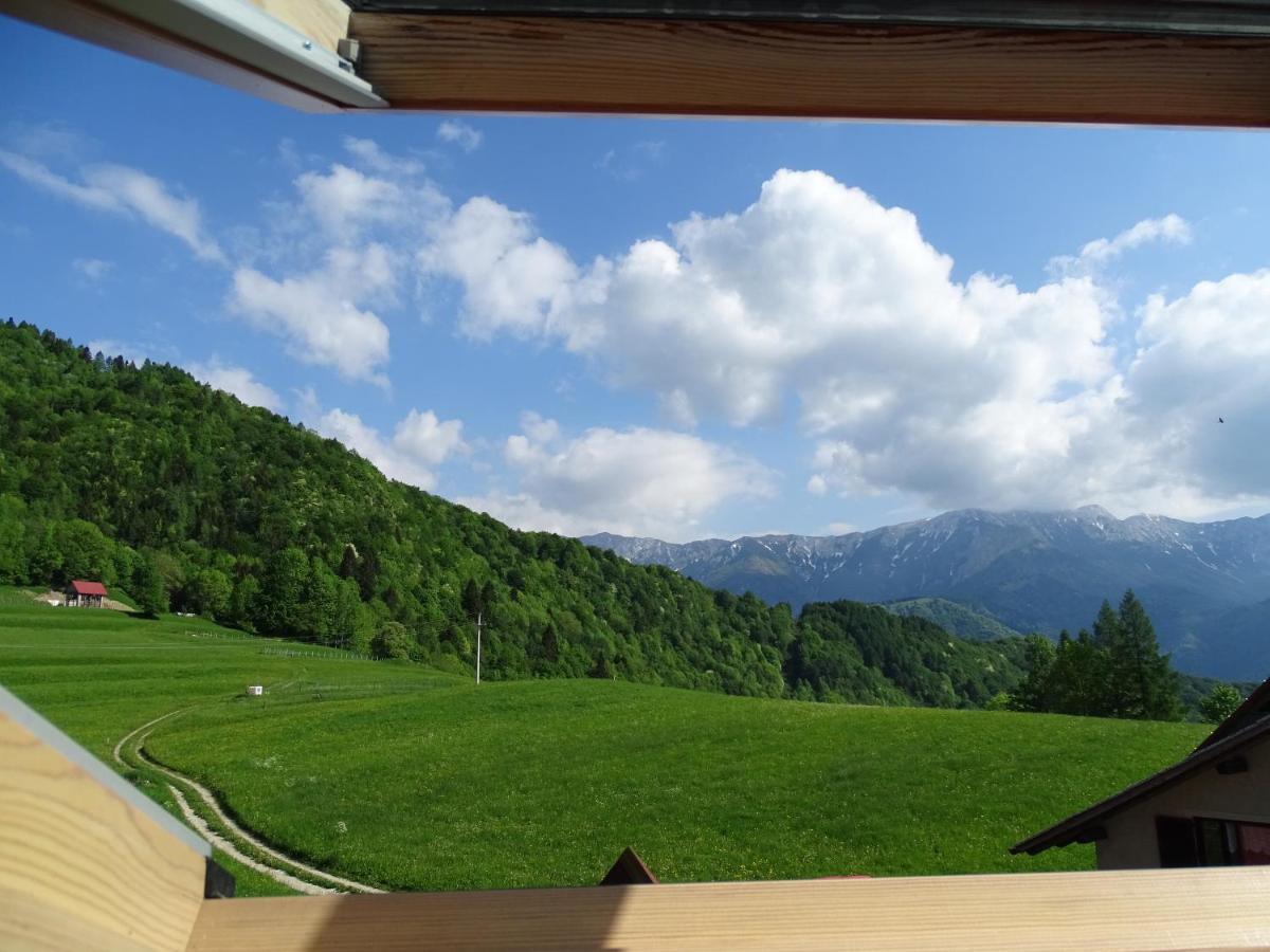 Apartmaji Pr-Gujlu Sela Nad Podmelcem 5220 Tolmin Podmelec Экстерьер фото